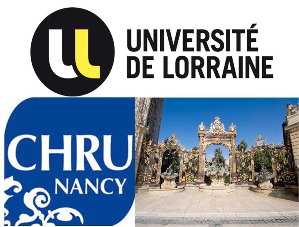 Nancyroom Vandoeuvre-lès-Nancy エクステリア 写真